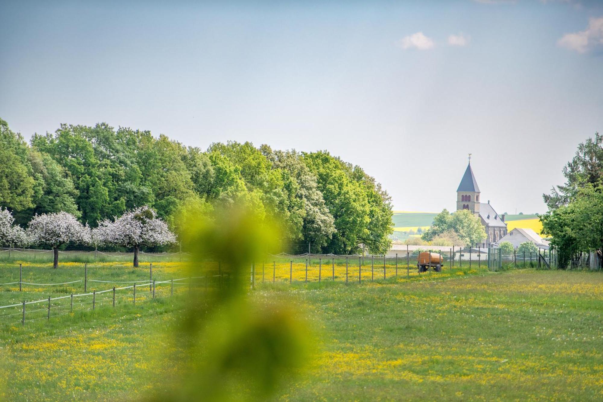 Waldesblick, Hotel-Restaurant Lahr  Exteriér fotografie